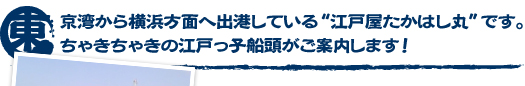 東京湾から横浜方面へ出港している“江戸屋たかはし丸”です。ちゃきちゃきの江戸っ子船頭がご案内します！